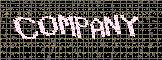 If your CAPTCHA image does not appear within five seconds, please hit the refresh button on your browser.